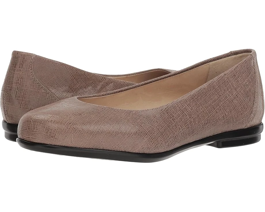 SAS Scenic 3 SAS Scenic